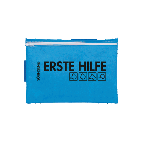 Erste Hilfe-Begleiter Tierhalter daheim - unterwegs blau